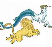 Lvy a kozy. Kompatibilita horoskop znamení