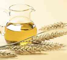 Olej z pšeničných klíčků: zcela kladná hodnocení!