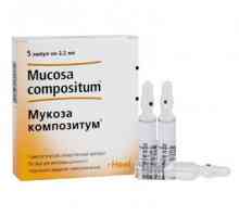 Lék „Sliznice compositum“ - výborný prostředek k zánětu a infekce