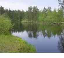 Lake Mesherskoye - co se stane na rybníku v budoucnu?