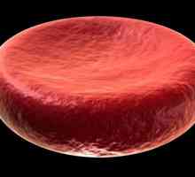 Umístěte červených krvinek. Struktura červených krvinek
