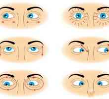 20-20-20 Metoda a další způsoby, jak chránit oči z počítačových efektů