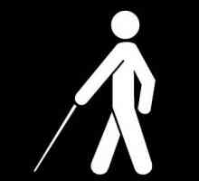 Mezinárodní den nevidomých v Rusku iv zahraničí