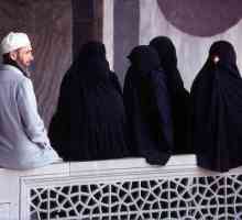 Mnohoženství v islámu: podmínky, pravidla. Proč je polygamie povolena v islámu?