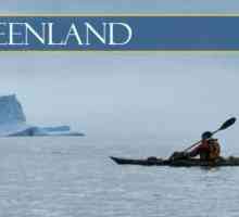 Море Гренландское: описание, расположение, температура воды и животный мир