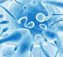 Morfologie spermatu: porušení a zlepšování