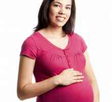 Je možné, aby těhotné ženy plést? Co si může a nemůže dělat těhotná