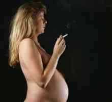 Je možné kouřit během těhotenství, a zda je to škodlivé pro plod?