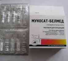 "Mukosat-Belmed" (injekce, tablety): návod k použití, cena, analogy