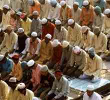 Muslimský svět: sunnity a šíity