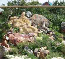 Музей камня в фершампенуазе и его экспонаты