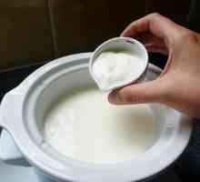 „Narine“ (droždí) návod k použití bakterií mléčného kvašení v domácnosti