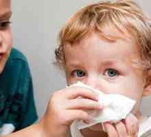 Lidové léky na nachlazení pro děti. Léčba nachlazení domácí lidových prostředků