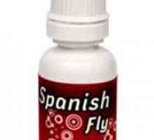 Jak účinný lék „Spanish fly“ pro ženy? spotřebitelské hodnocení