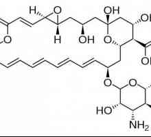 „Natamycin“: návod k použití. Masti, čípky a tablety…