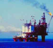 Нефтеэкспортирующие страны: история и современность