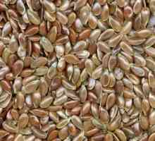Некоторые советы о том, где купить льняное семя