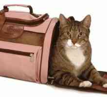 Zapotřebí hosteska načechraný atribut vrní - nosič pro kočky