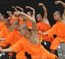 Neobvyklé a nepředvídatelné kinospektakl „Shaolin Monks“