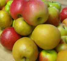 Několik receptů pro hospodyňky, jak uzavřít na zimní kompotu z jablek