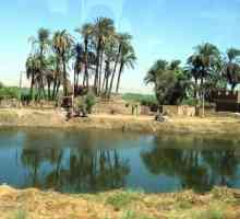 Нил и другие крупные реки африки