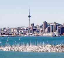 Nový Zéland, Auckland - zázrak na kolizní bodem moře a oceánu!
