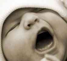 Mozkové NDG novorozenci: dekódování, normy
