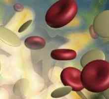 Co zvýšený počet bílých krvinek u dětí