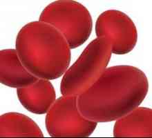 Co lze říci zvýšenou červených krvinek v krvi