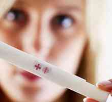 O tom, zda je možné otěhotnět na první pokus