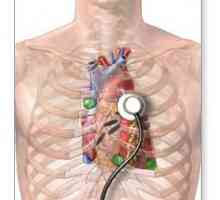 Vyšetření srdce. Ultrazvuk srdce: to ukazuje? Methods Survey Heart