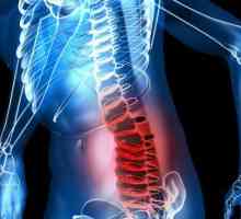 Spinální chirurgie a rehabilitace období