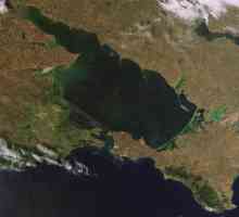 Описание Азовского моря: площадь, глубина и животный мир