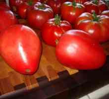 Popis a hodnocení rajčata „Mazarin“