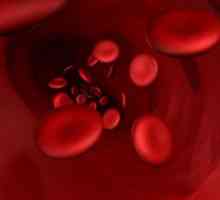 Stanovení krevních skupin krevních rodičů dítěte - proč je to nutné?