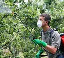Postřik ovocných stromů na podzim na ochranu budoucí úrodu