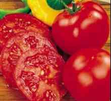Původní recept: rajčata v želatině