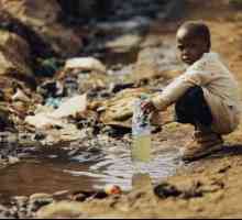 Основные экологические проблемы Африки