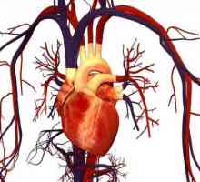 Akutní cévní nedostatečnost: příčiny, příznaky a pravidla první pomoci
