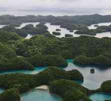 Palau ostrovy v Tichém oceánu