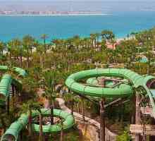 UAE Hotely pro rodiny s dětmi: Cestovní tipy