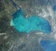 Озеро онтарио и его экосистема