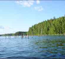 Lake Pskov: fotky, rekreaci a rybaření. Recenze na dovolenou Lake Pskov