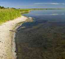 Jezero je slané, Kurgan region. Lake Kurgan region