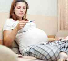 Zimnice s časné fázi těhotenství. Které léky mohou být těhotná?