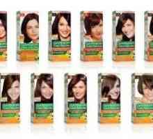 Paleta barev na vlasy „Garnier“ „: výběr vynikajících
