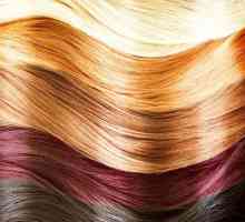 Paleta barev vlasů „kapus“: vždy perfektní výsledek