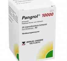 „Pangrol 10000“: poučení pro děti, skutečné protějšky