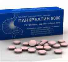 „Pankreatin 8000“: návod k použití. Tablety „Pankreatin“ z…