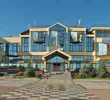 Pension "Sheksna" (Sochi, Krasnodar region): fotografie a recenze